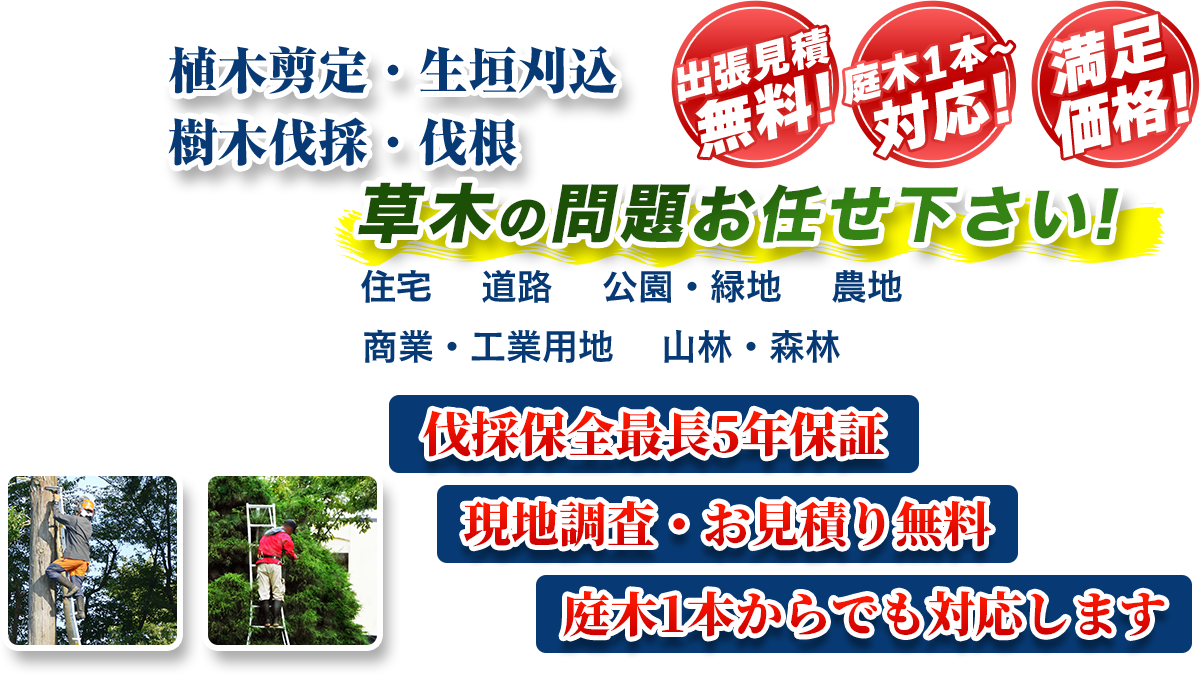 宇都宮市エリア即対応!! 出張無料! 庭木1本~対応! 満足価格! 植木剪定・生垣刈込 樹木伐採・伐根 草木の問題お任せ下さい! 住宅 道路 公園・緑地 農地 商業・工業用他 山林・森林 伐採保全最長5年保証 現地調査・お見積り無料 庭木1本からでも対応します